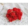 Роза Мальбери, цвет красный, 25мм, 1 цветок