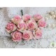 Роза Мальбери, цвет сливочный с нежно-розовой окантовкой, 25мм, 1 цветок