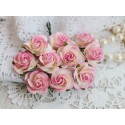 Роза Мальбери, цвет сливочный с нежно-розовой окантовкой, 1 цветок