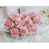 Роза Мальбери, цвет сливочный с нежно-розовой окантовкой, 25мм, 1 цветок