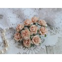 Роза Мальбери, цвет бледный персиковый, 1 цветок