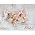 Роза Мальбери, цвет сливочные с розовым, 1 цветок 