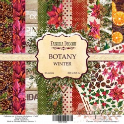 Набор бумаги 30,5*30,5 "Botany winter", 200гр, 10л+бонус