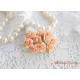 Роза Мальбери, цвет персиковый, 1 цветок