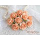Роза Мальбери, цвет персиковый, 1 цветок