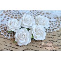 Роза Шпалера, цвет белый, 1 цветочек