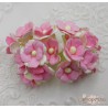Лютики двухтонные нежно розовые с белым, 1,5 см, 5 цветочков
