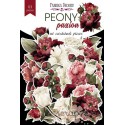 Набор высечек коллекция "Peony passion", 63 шт