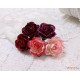 Роза Шпаллера, красный микс, 5 цветочков разных оттенков, 35мм