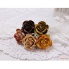 Роза Шпалера, кремовый микс, 5 цветочков разных оттенков