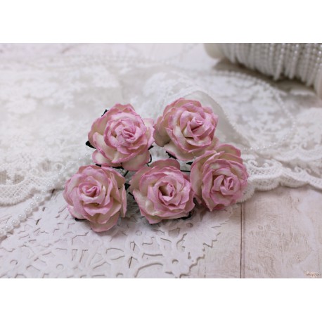 Дикая роза, цвет сливочный с розовой окантовкой, 30мм, 1 цветочек
