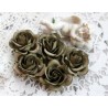 Роза Шпалера, цвет белый с бирюзой, 35мм, 1цветок
