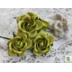 Роза Шпалера, цвет зеленый, 35мм, 1цветок