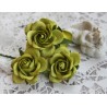 Роза Шпалера, цвет зеленый, 35мм, 1цветок