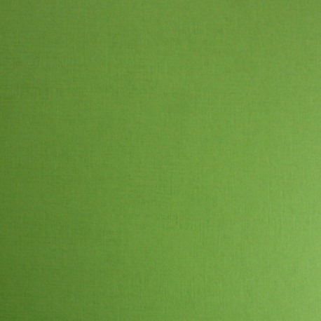 Кардсток текстурированный, цвет салатовый, 30*30см, 250 гр/м