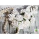 Роза мальбери, цвет белый, 30мм, 1цветок